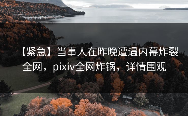 【紧急】当事人在昨晚遭遇内幕炸裂全网，pixiv全网炸锅，详情围观