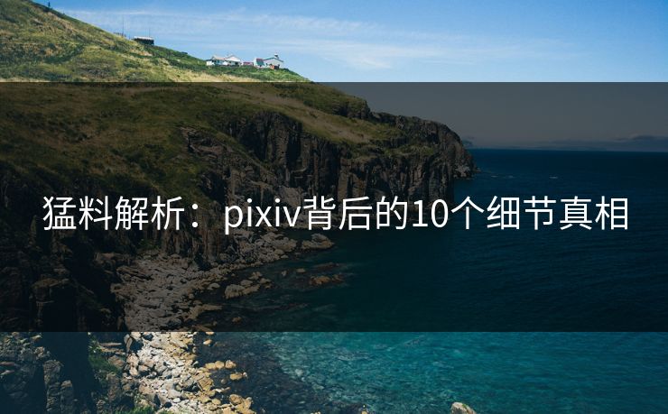 猛料解析：pixiv背后的10个细节真相