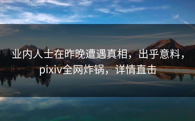业内人士在昨晚遭遇真相，出乎意料，pixiv全网炸锅，详情直击