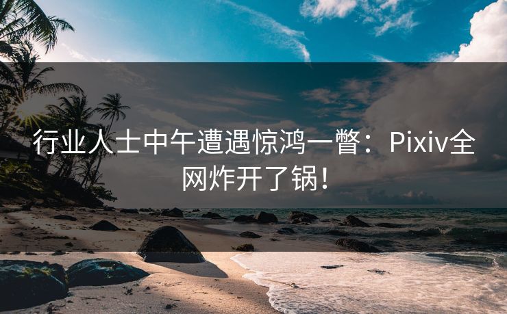 行业人士中午遭遇惊鸿一瞥：Pixiv全网炸开了锅！