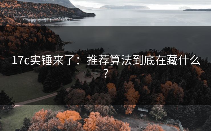 17c实锤来了：推荐算法到底在藏什么?